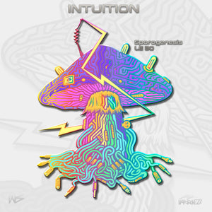 Intuition Pin - NARBONEZZ